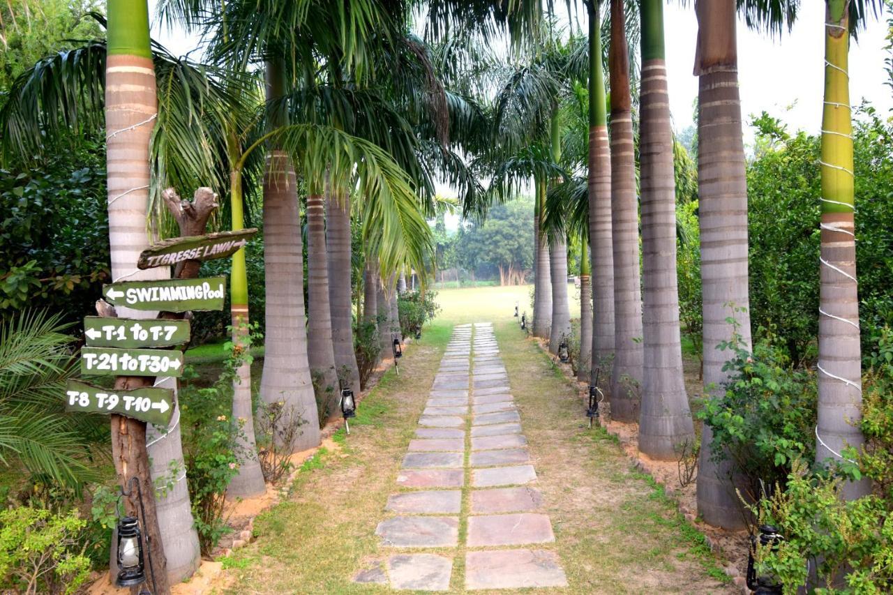 Sultan Bagh Resort By The Sky Imperial サワイ・マドプール エクステリア 写真