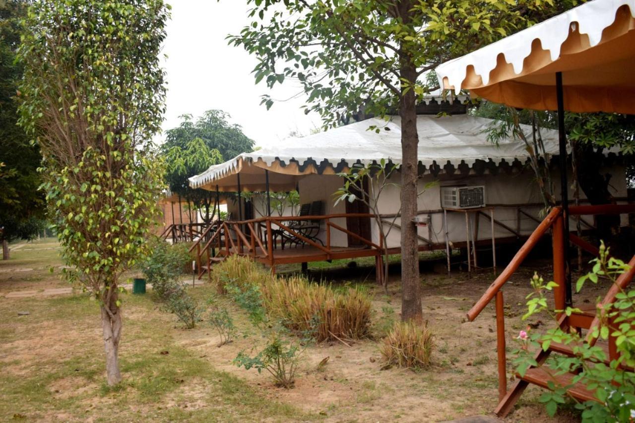 Sultan Bagh Resort By The Sky Imperial サワイ・マドプール エクステリア 写真